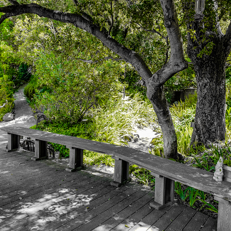 ~The Bench At Hummingbird&nbsp;Oak~