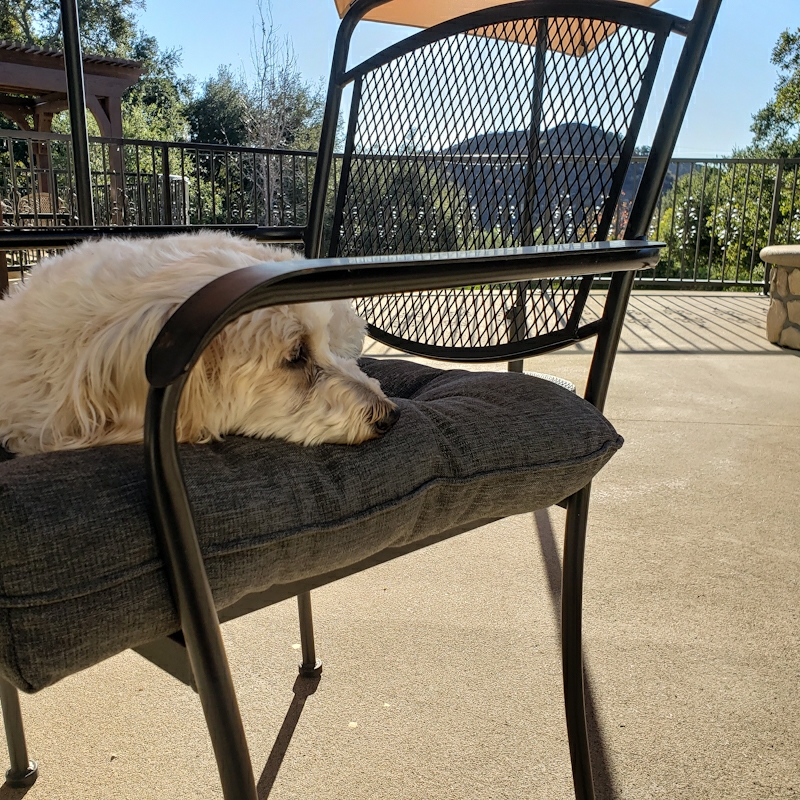 ~Mr. Murray Pulls Up A&nbsp;Seat~