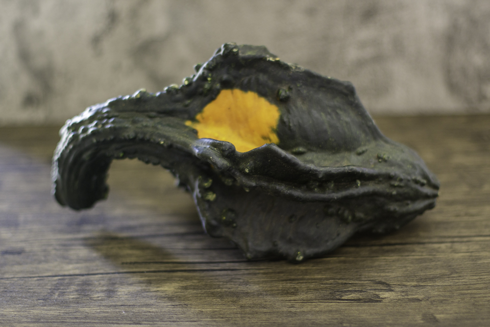 ~Wordless Wednesday~