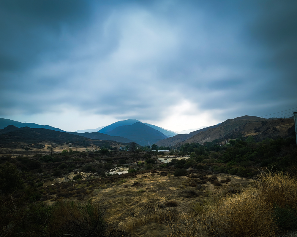 ~A Sheckyville View~