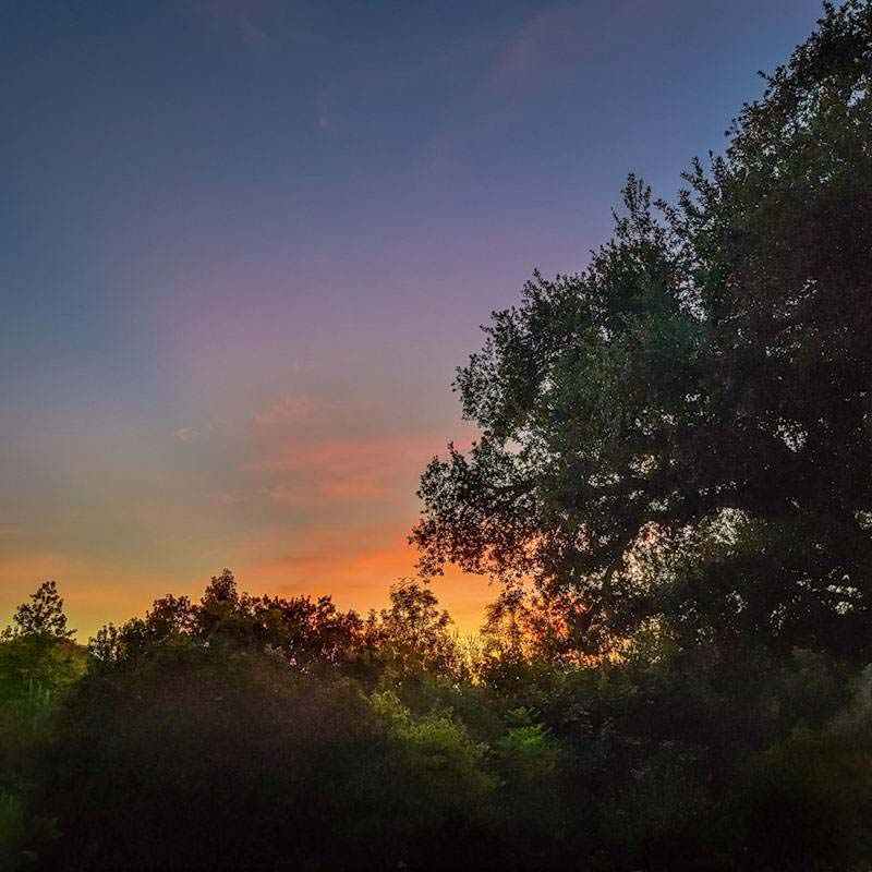 ~Sunset Before Rain~