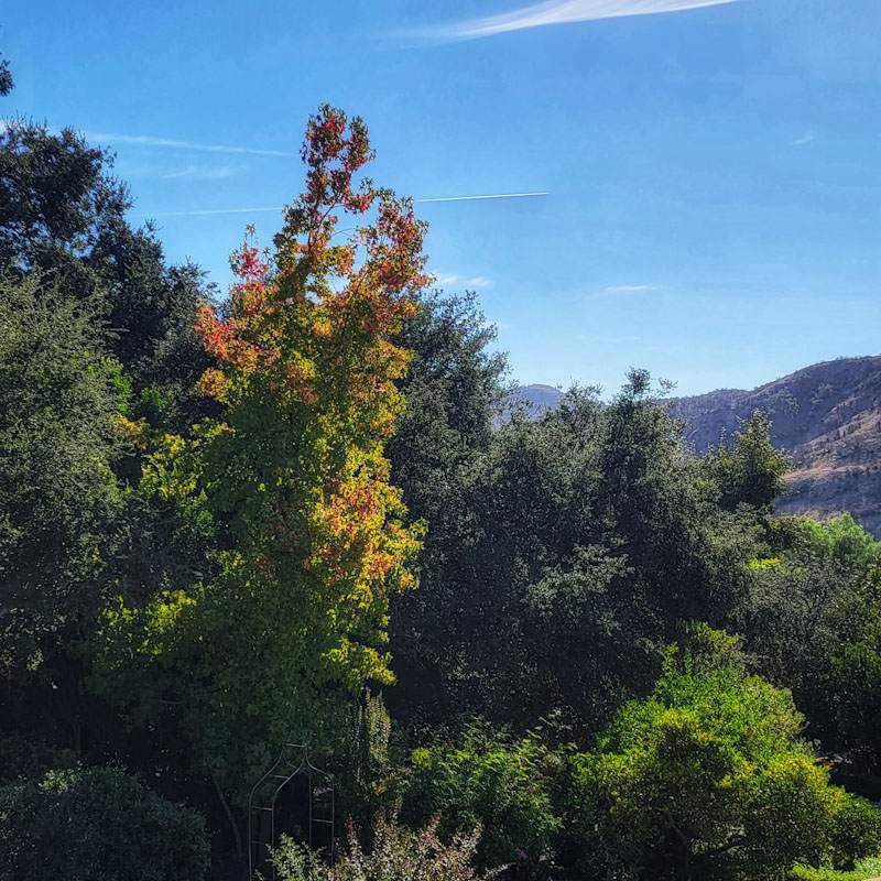 ~Taking A Load&nbsp;Off~