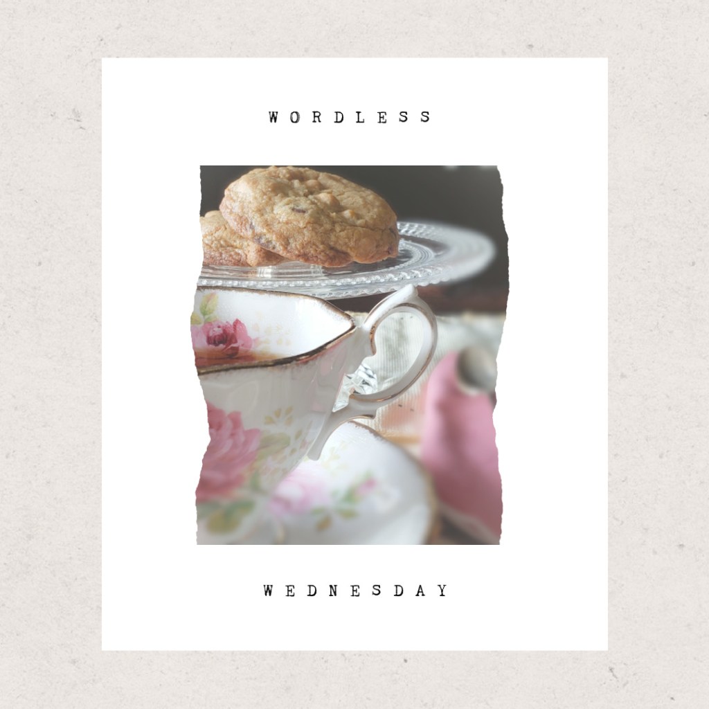 ~Wordless Wednesday~