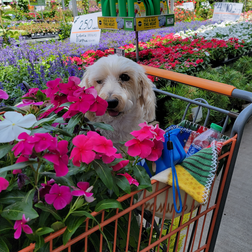 ~Wordless Wednesday~