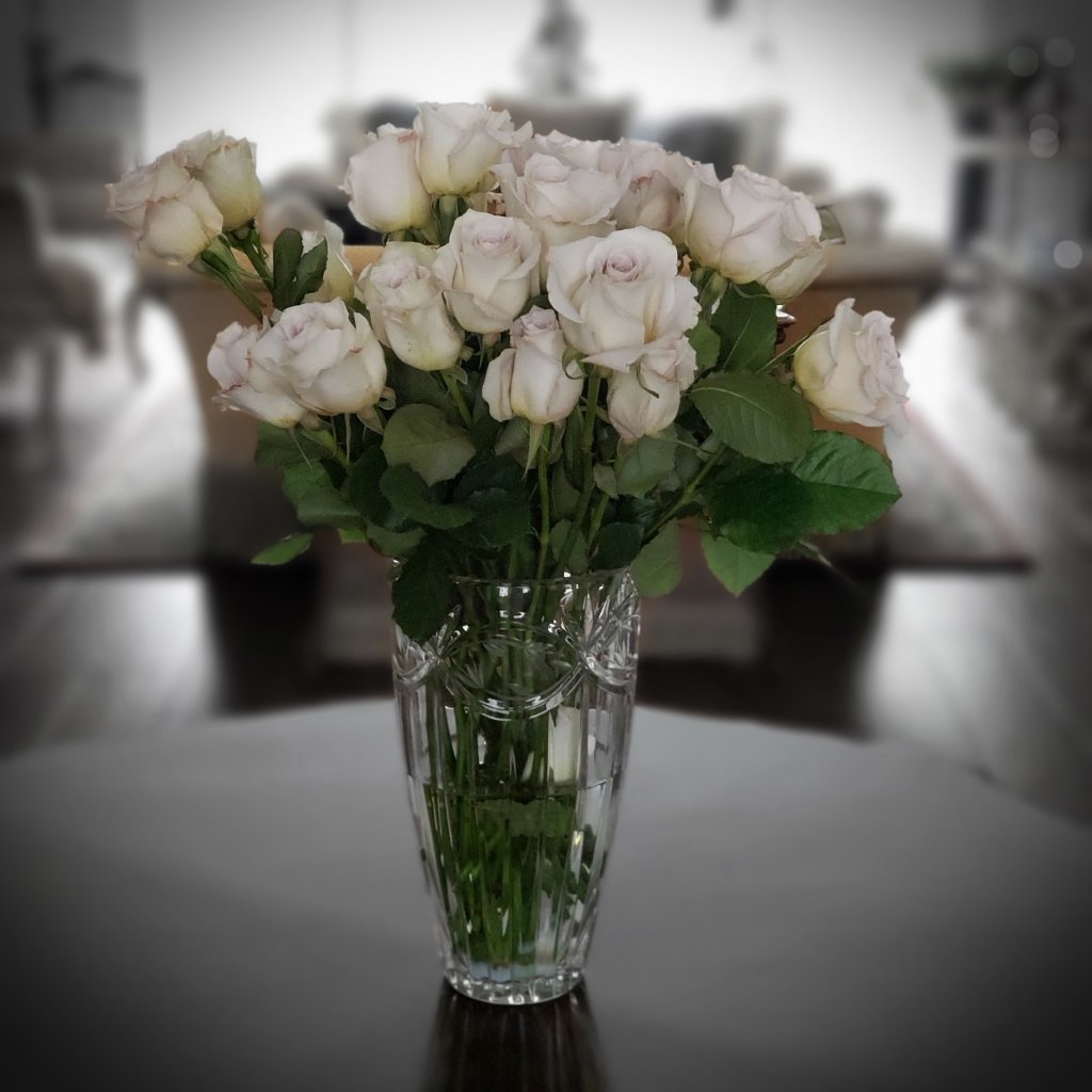 ~Sunday Stills &&nbsp;Valentines~